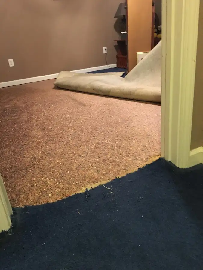 Carpet pad removal revealing water damage during Drying & Dehumidification in Murrysville