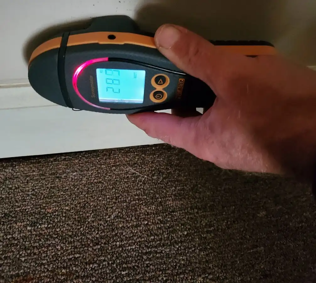 Moisture detection at baseboard during Mold Inspection & Testing in Murrysville